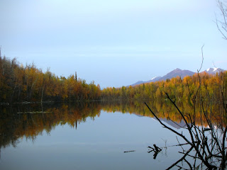 Kepler+bradley+lakes