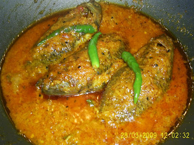 Ilish Vapa