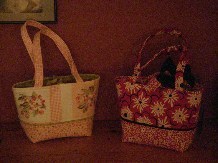 Cute lunch bags that my friend Rachel and I made.