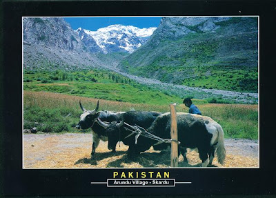 Village+pictures+of+pakistan