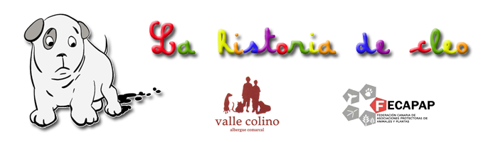 Compra un libro, ayuda a un animal