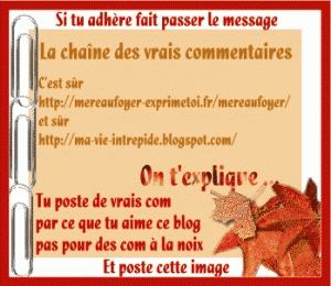 [commentairealanoix1-300x260.gif]