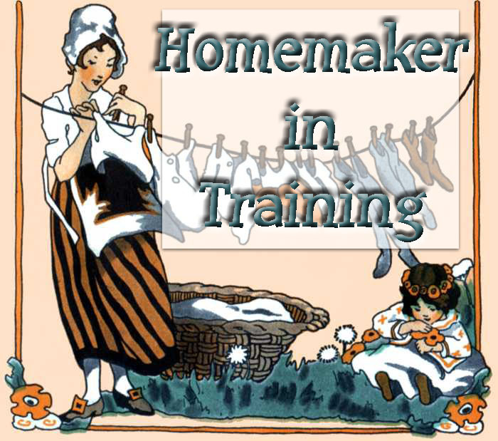 [HomemakerInTrainingButtonBlue.jpg]
