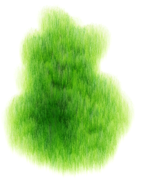 add a brush variant to corel painter 11 add a brush variant to corel painter 11