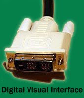 Digital Visual Interface (DVI)