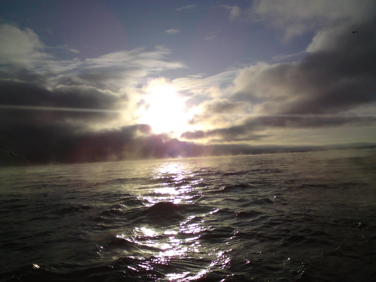 [DSC01035.JPG]