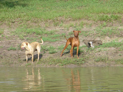 Kacey & Dolly "The Girls"