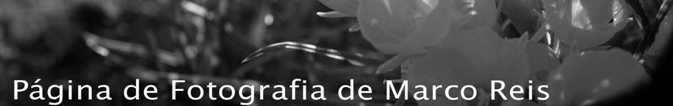 Página de Fotografia de Marco Reis