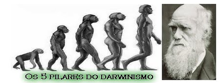 5 pilares do darwinismo