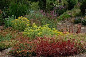 Wild Ginger Farm News Blog: Succulents in the Garden