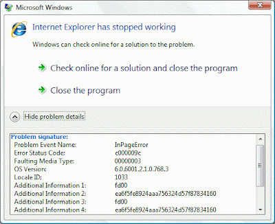 Internet Explorer - Vista - Error c000009c
