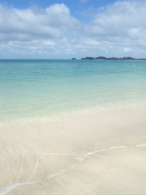 [DSCF6210.JPG]