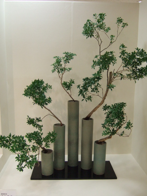 [DSCF6752.JPG]