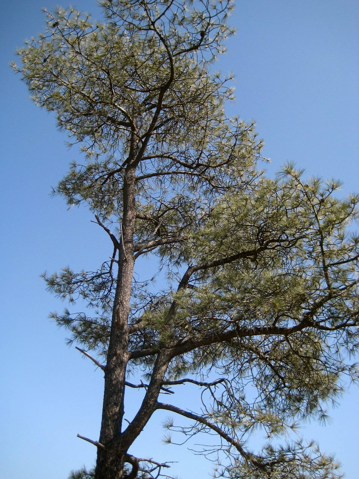 [IMG_3293.JPG]