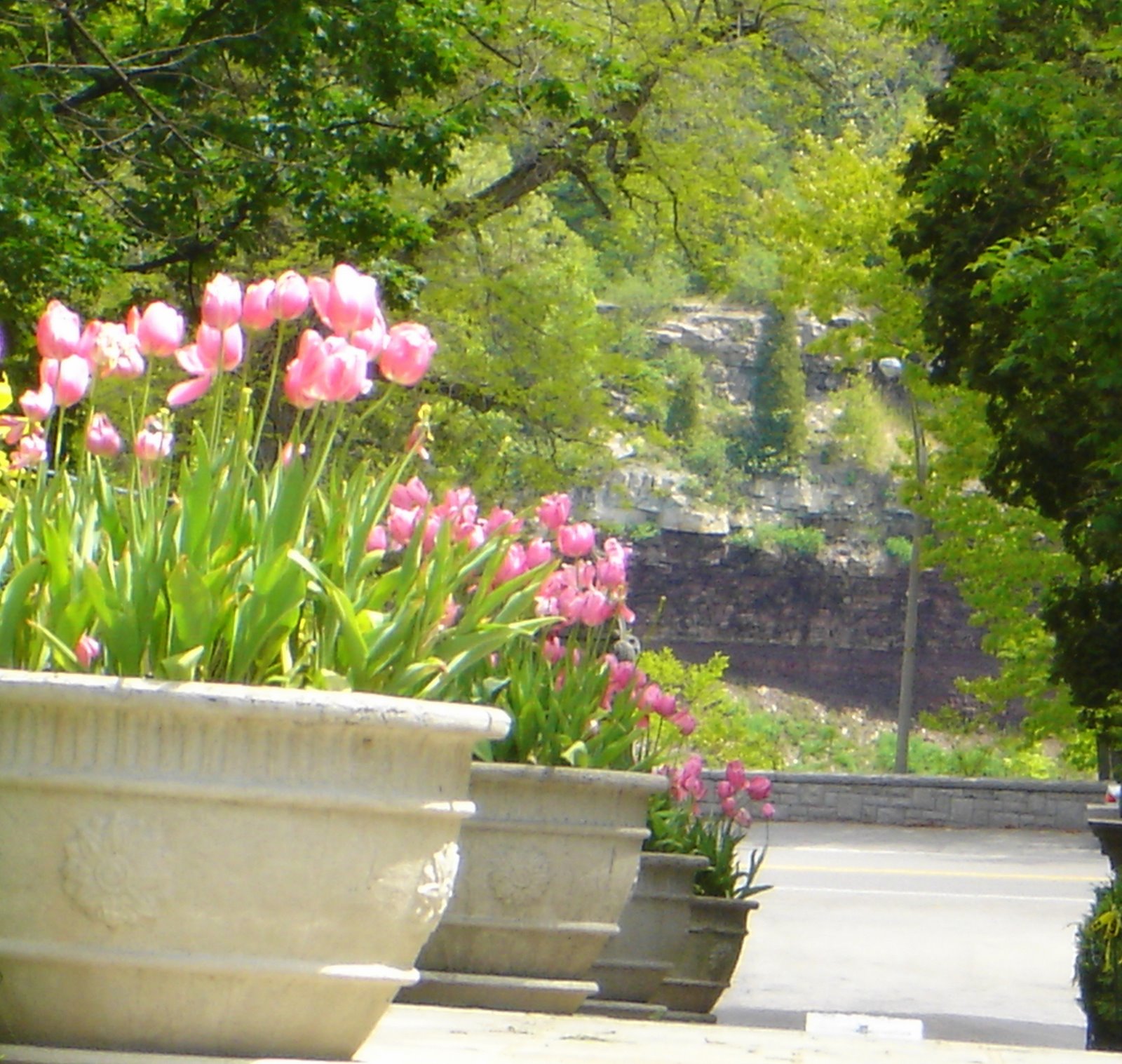 [DSC05954.JPG]