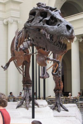 [270px-Chicago_Illinois_-_Sue_-_Field_Museum1.jpg]