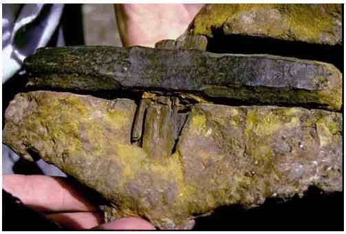 [σιδερόσφυρο+140+εκ.ετών.bmp]