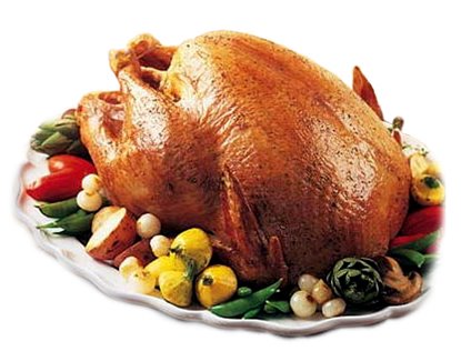 [turkey1.jpg]