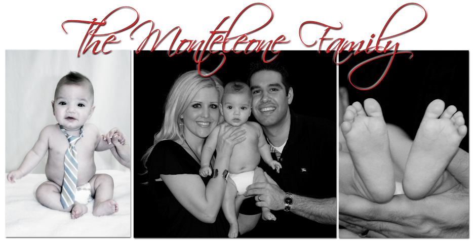 The Monteleone Family