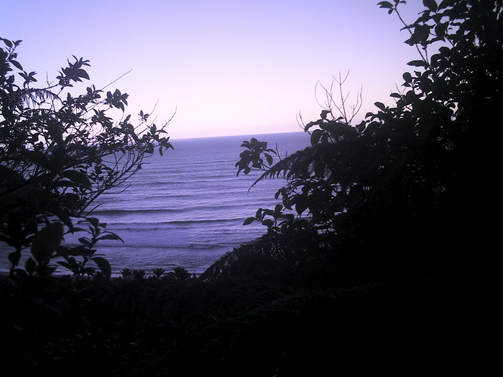 [PHOT0093.JPG]