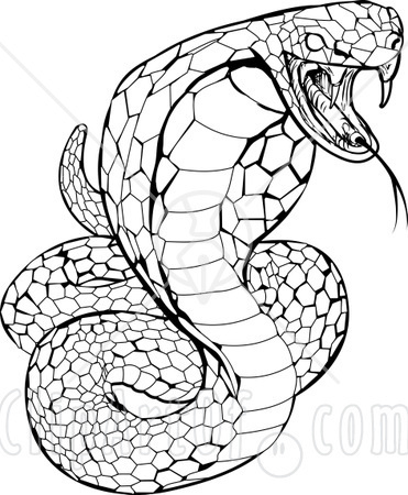 Pictures Snake Tattoos on Tattoos Snakes Search Results