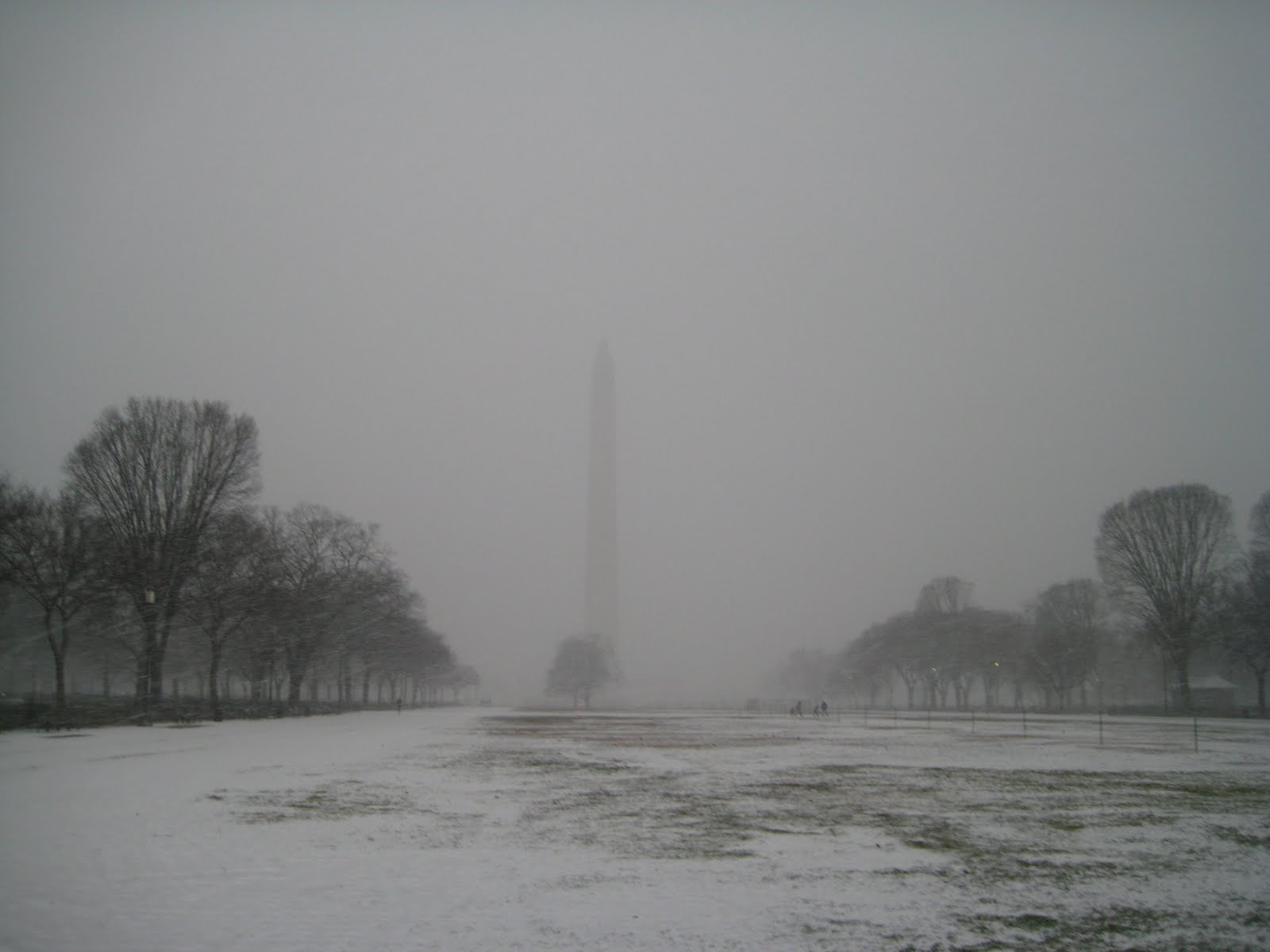 [IMG_3262.jpg]