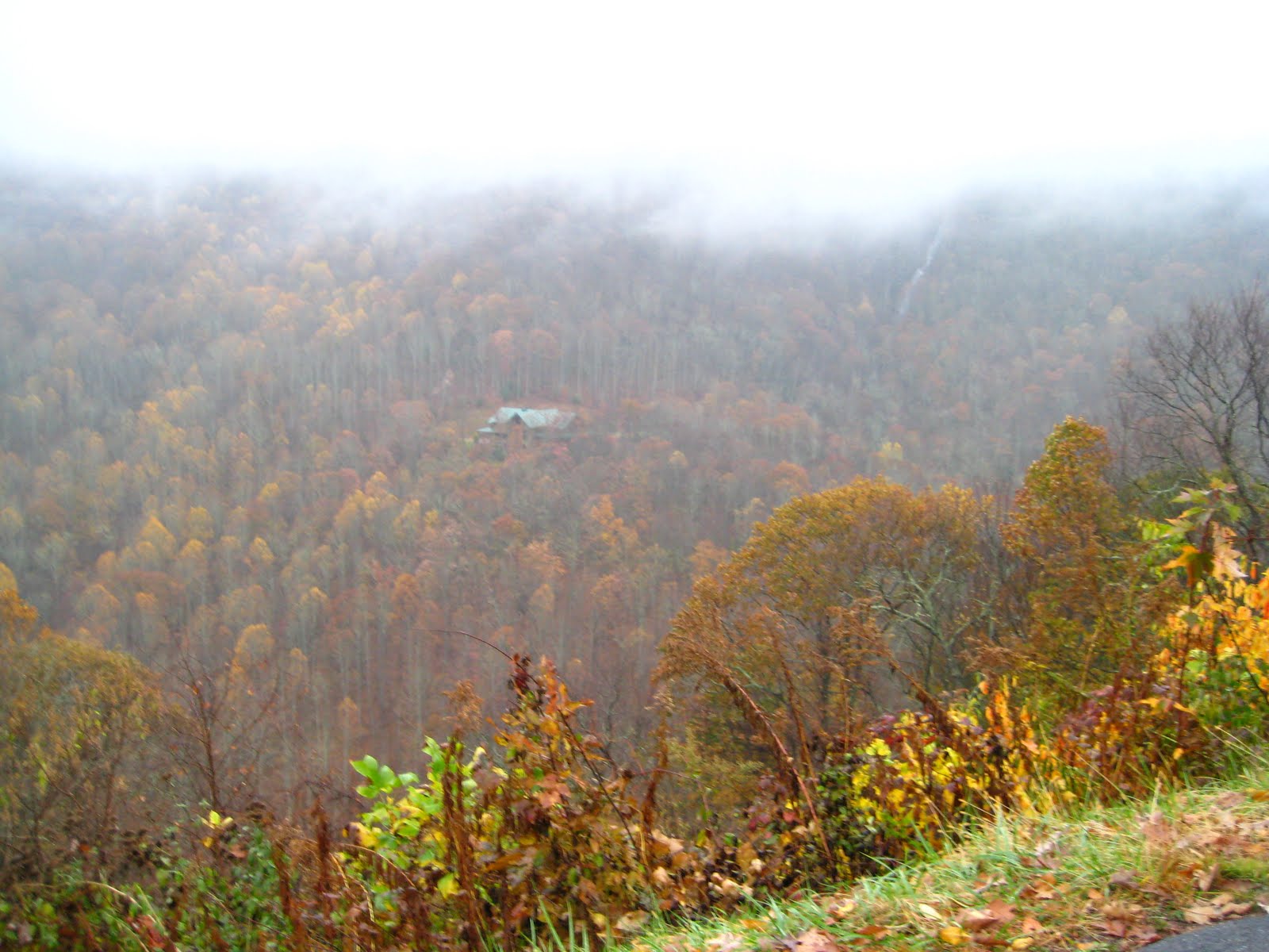 [IMG_2437.JPG]