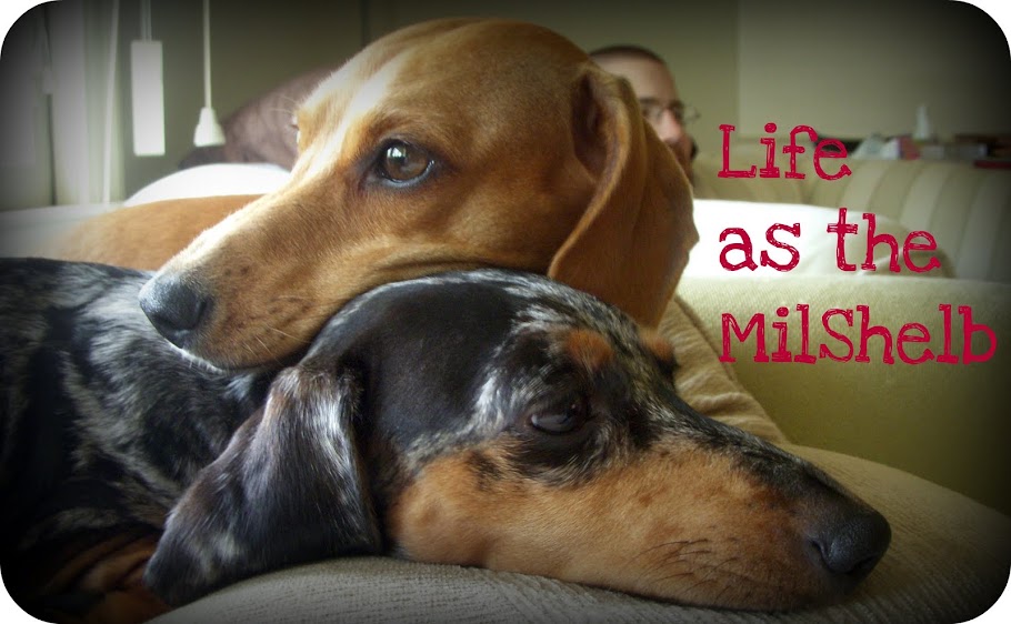 Life As The MilShelb
