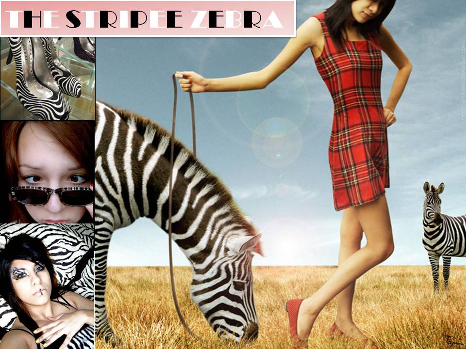 ♥ STRIPEE ZEBRA ♥