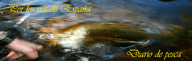 Diario de pesca,por los ríos de España