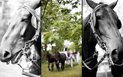 [080927_LH_AlissaJohn_11.jpg]