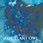 Pot Plant Owl