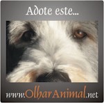 Olhar Animal