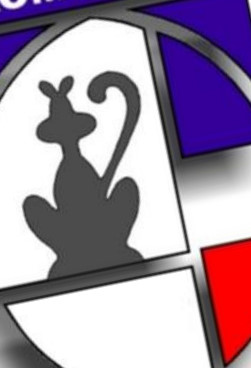 te amo con toda mi vida, Tricolor ♥