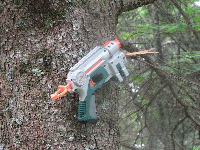 Toy%20Gun%20on%20tree.jpg