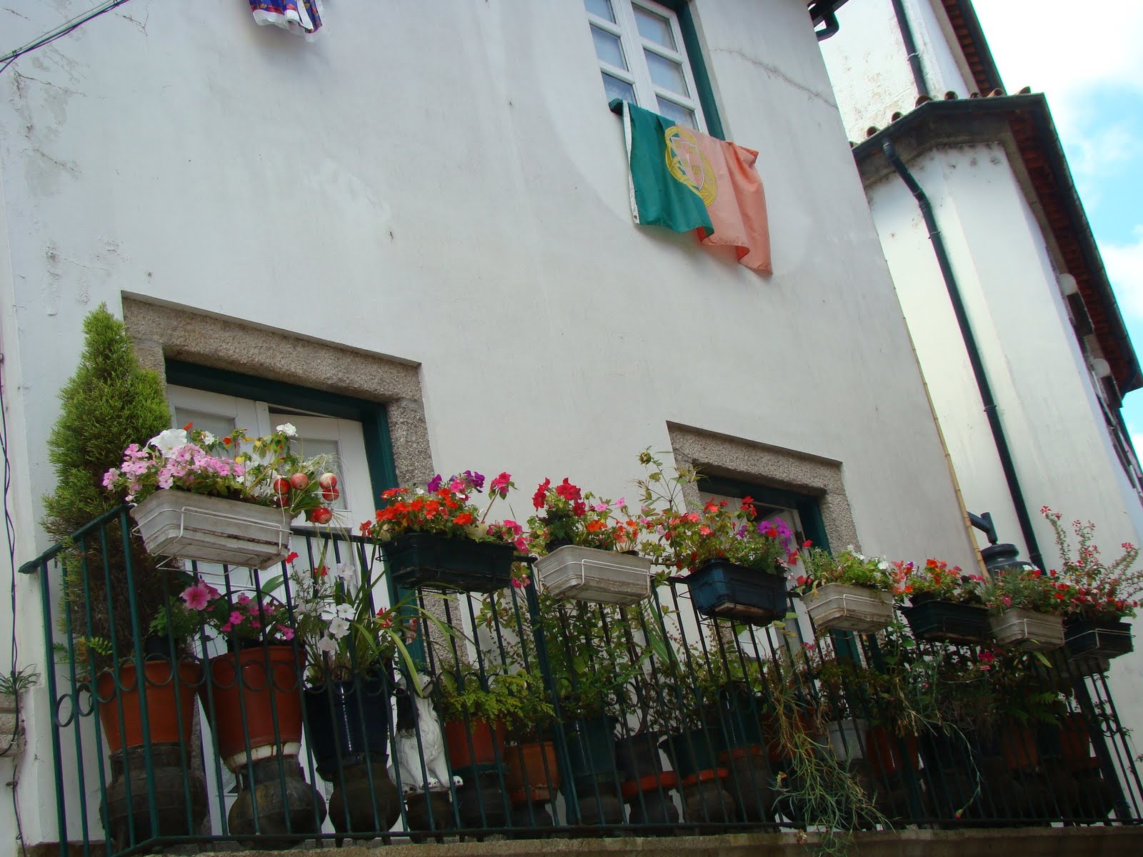[DSC06737.JPG]