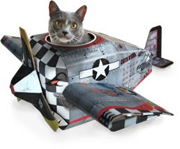 catplay-plane.jpg