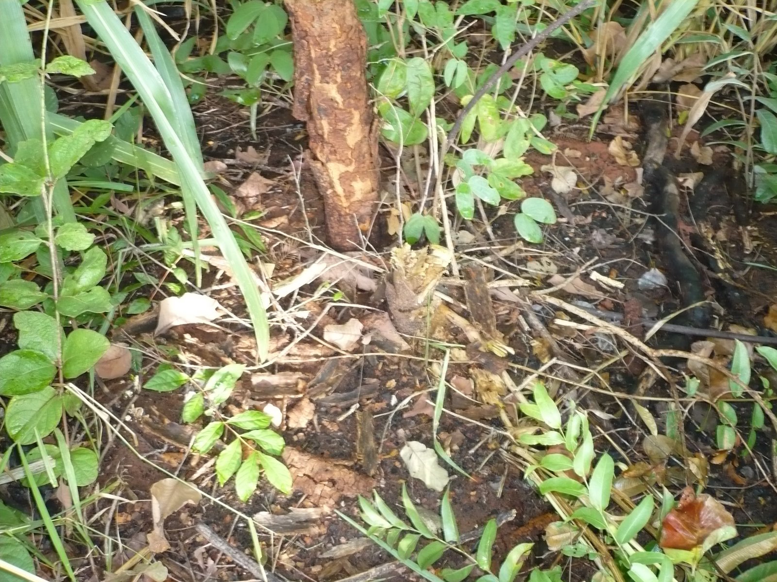 [P1000655.JPG]