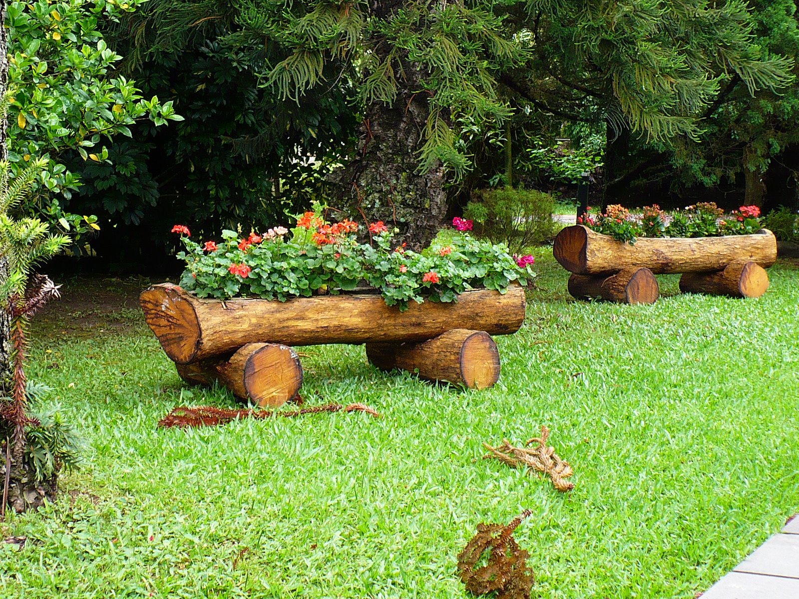 [36+Manaus+e+Boavista+Sula+015.jpg]