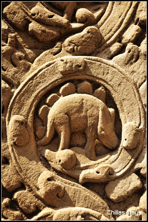 [nEO_IMG_DSC_0392.jpg]