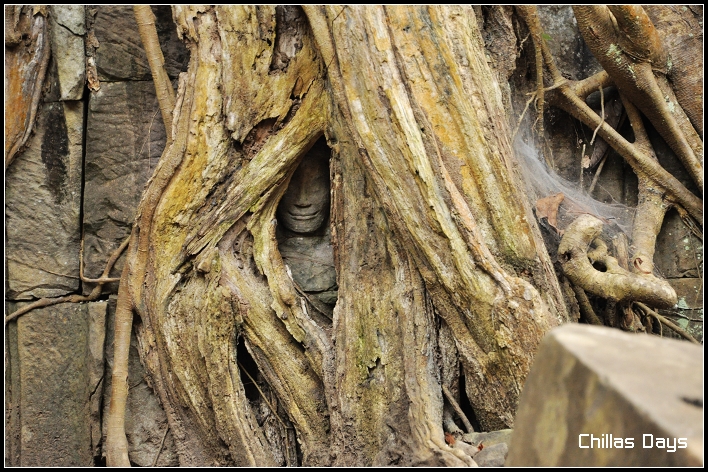 [nEO_IMG_DSC_0492.jpg]