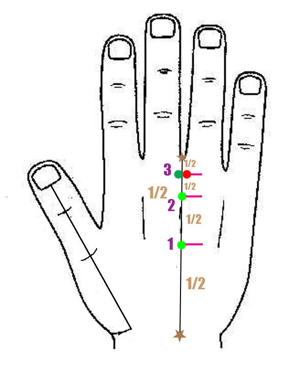 Sujok acupuncture methods and treatment (Sujok medicine blog) AML