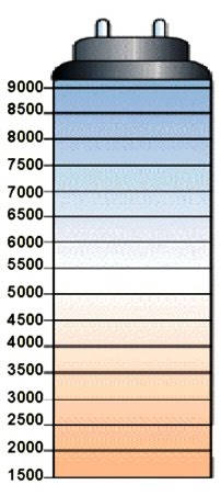 les-kelvin-scale.jpg