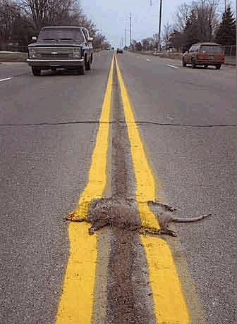[crash+3.jpg]