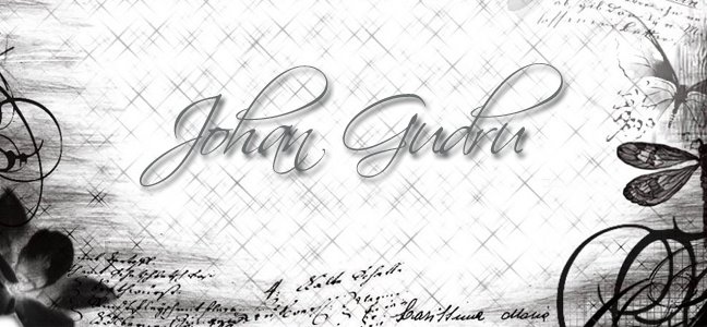 Johan Gudru