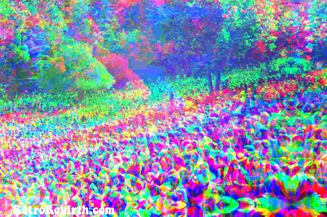 Stereo Cafe KFRC Fantasy Fair & Magic Mountain Music Festival 1967