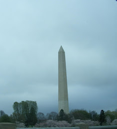 Washington DC