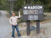 Lots Of Madison's in Yellowstone