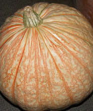 Pumpkin on MY front porch