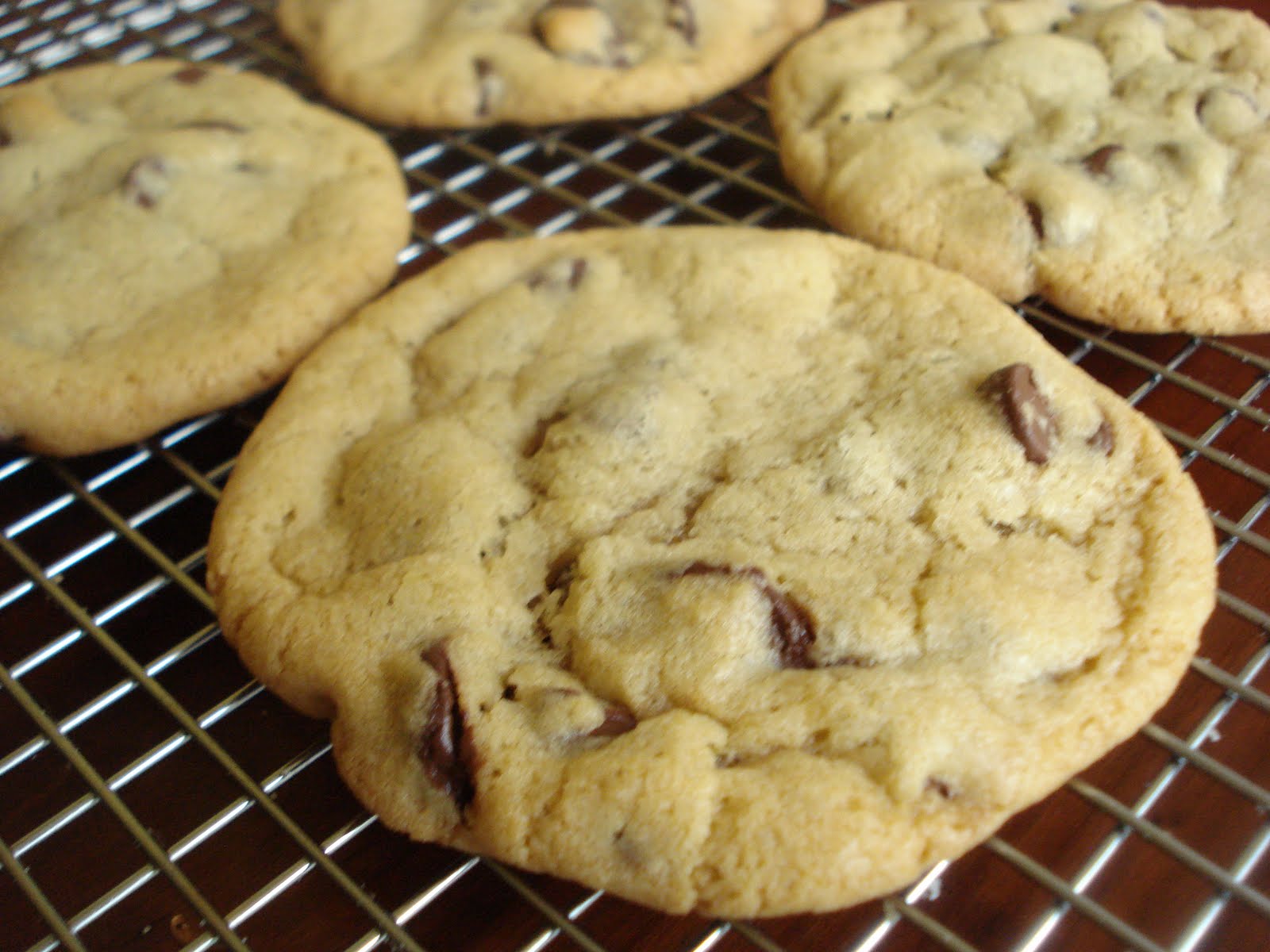 The Cookie Scoop Quintessential Chocolate Chip Cookies